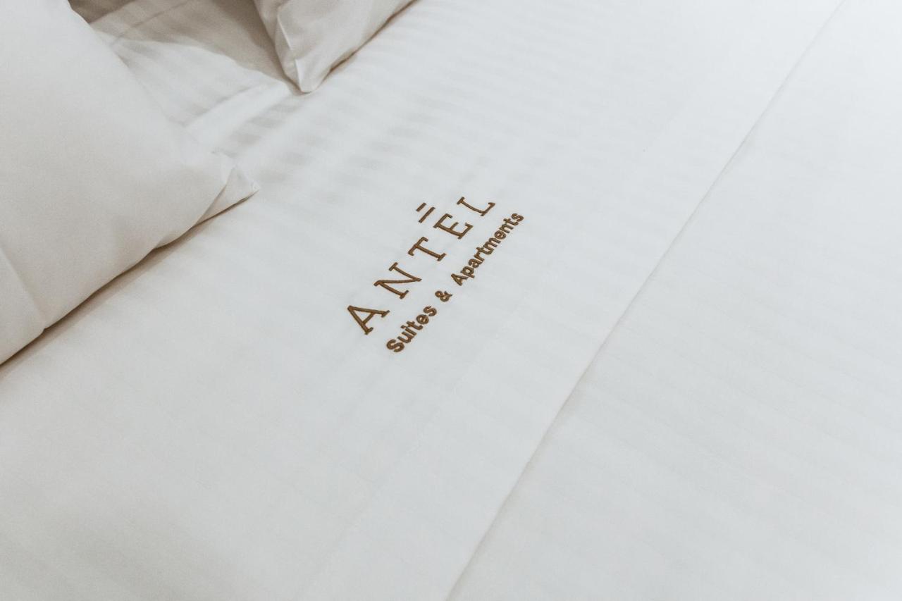 Antel Suites & Apartments 干尼亞 外观 照片